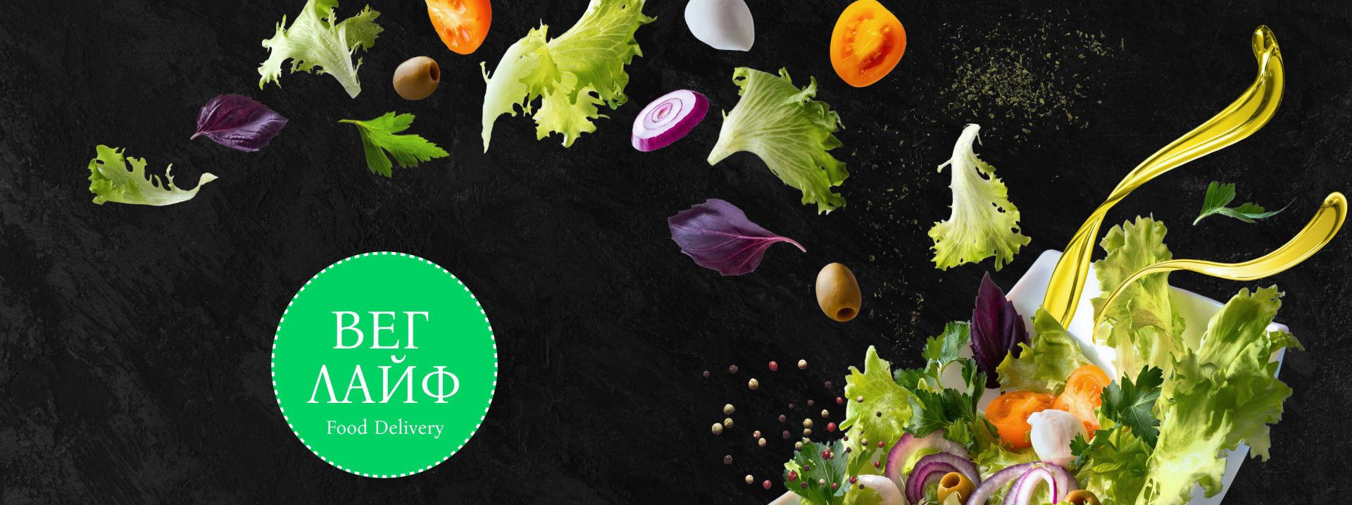 VegLife Vegetarian Food Delivery Service Promotional Website