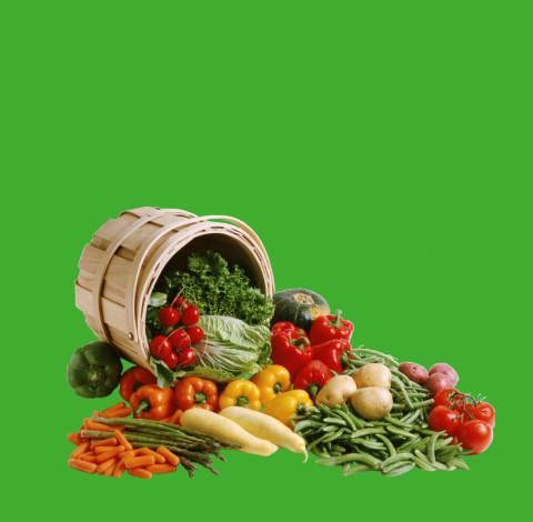 VegLife Vegetarian Food Delivery Service Promotional Website